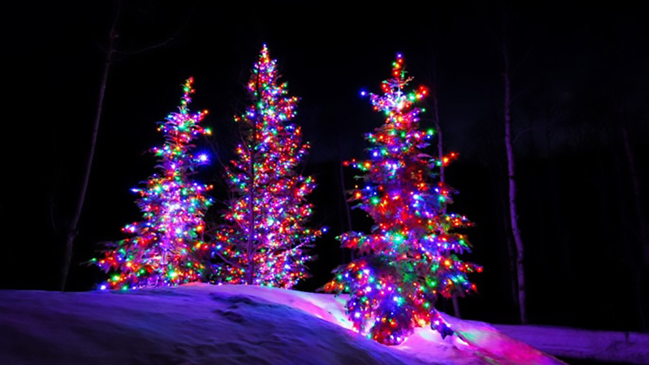 Three Christmas trees with rainbow lights on a snowy bank.